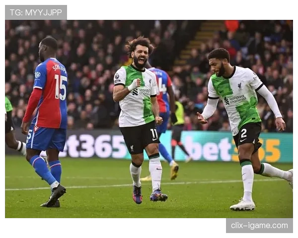 水晶宫聚焦未来蓝图，全力提升英超竞争力